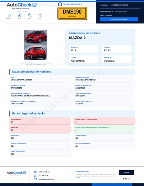 Portada del informe demo Premium, con marca de datos ficticios